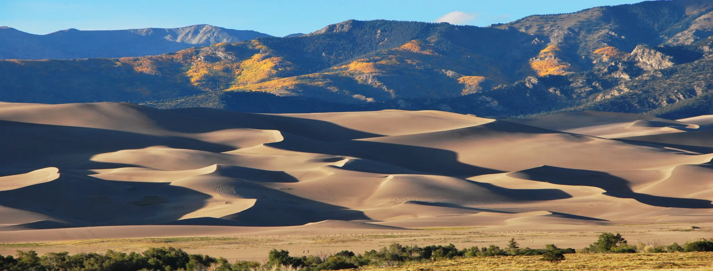 Image for Great Sand Dunes Park